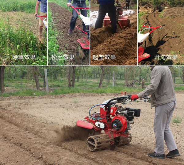 開(kāi)溝培土機(jī)在大蔥，大姜，土豆，果園中的應(yīng)用